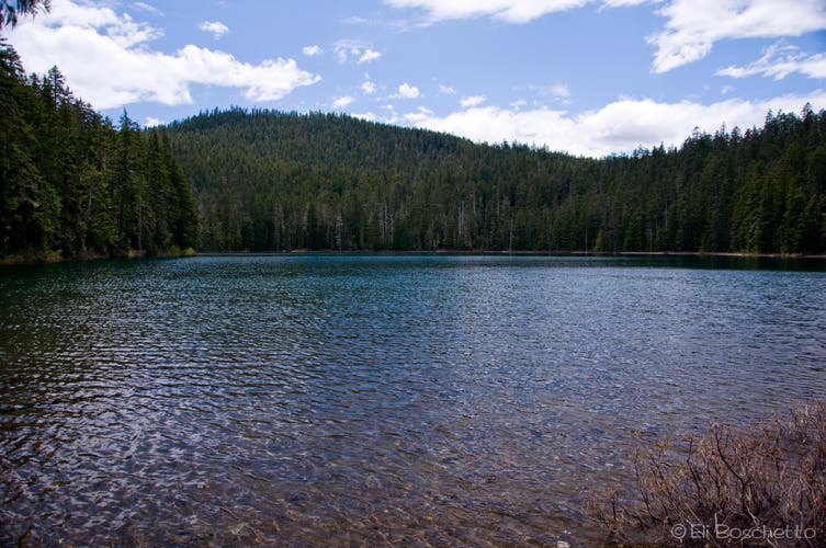 Lower Twin Lake None