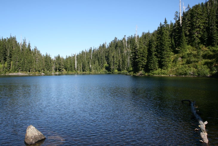 Lower Wildcat Lake None