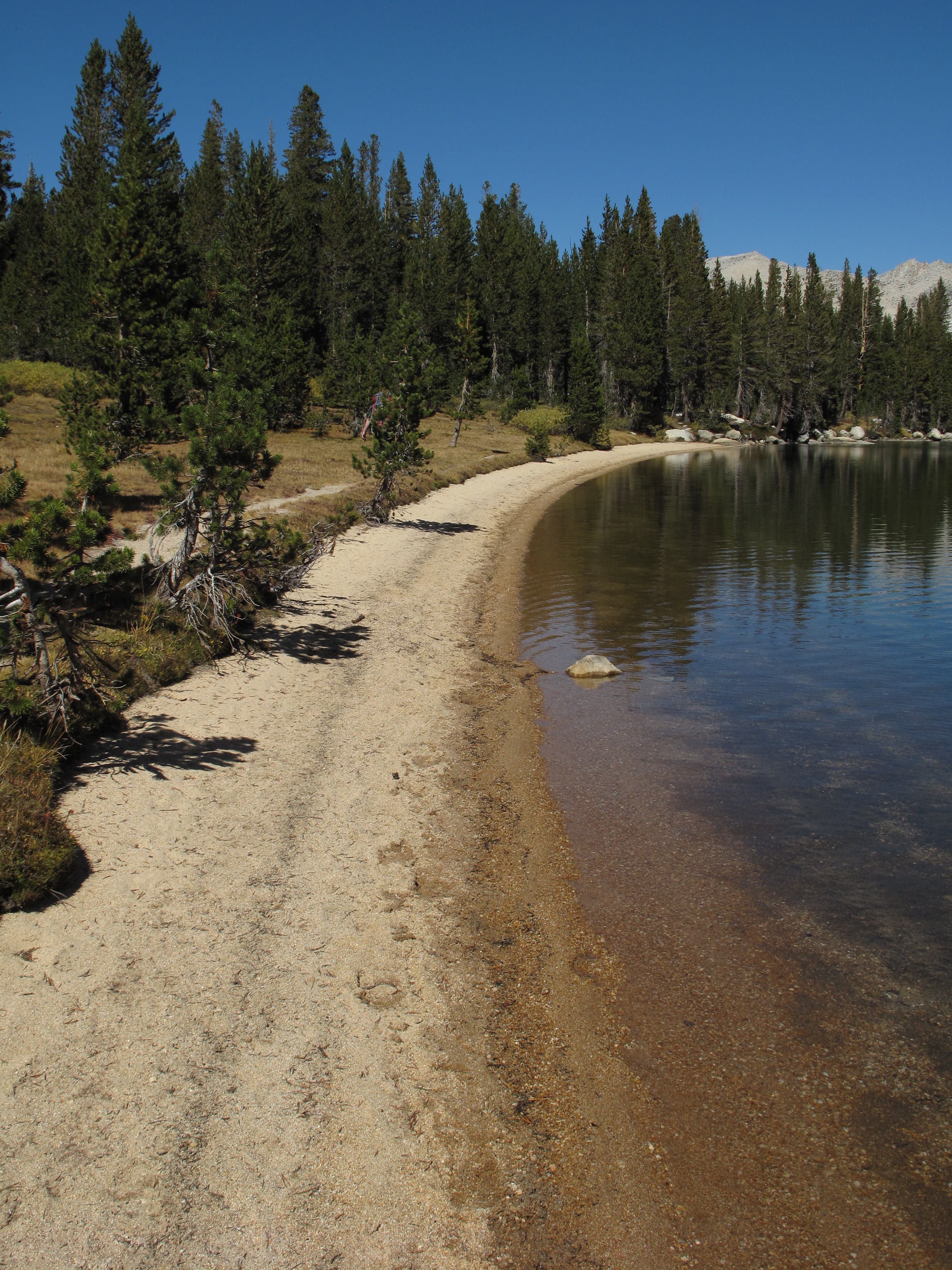 Lower Young Lake None