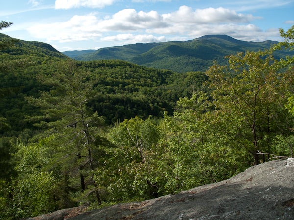 LT Overlook None