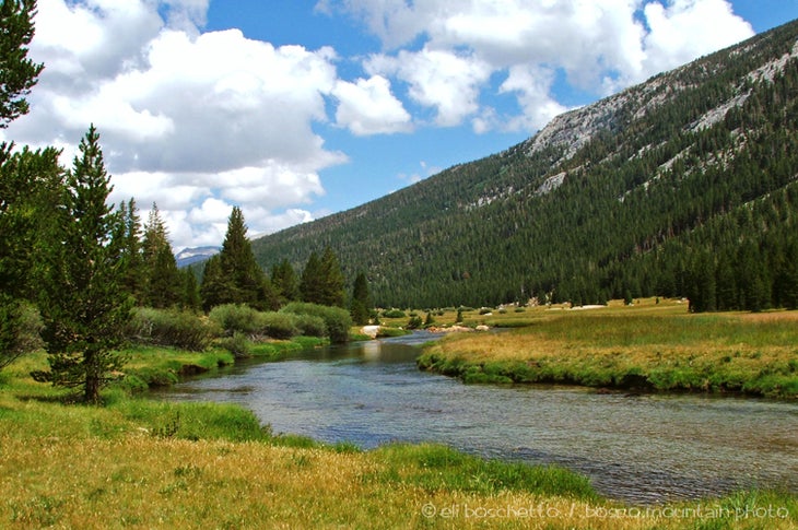 Lyell Fork None