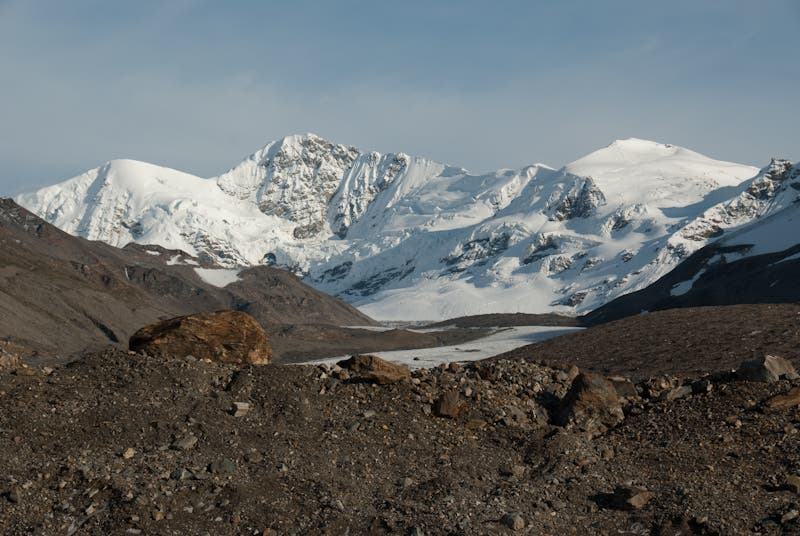 M Ladies Mountain None