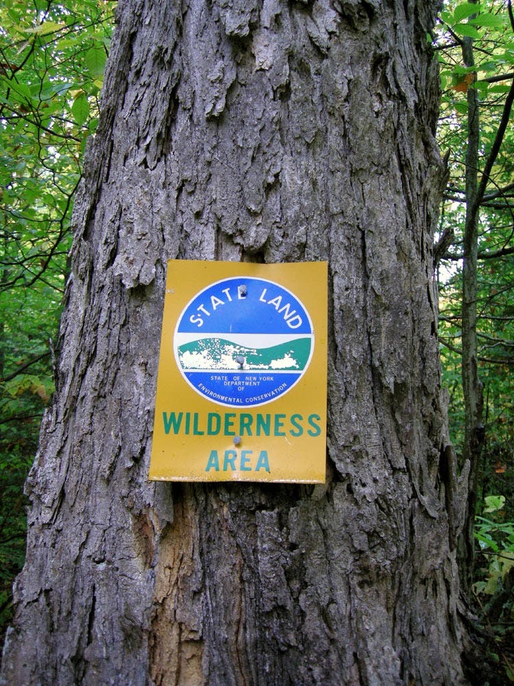 MacKenzie Wilderness Boundary None