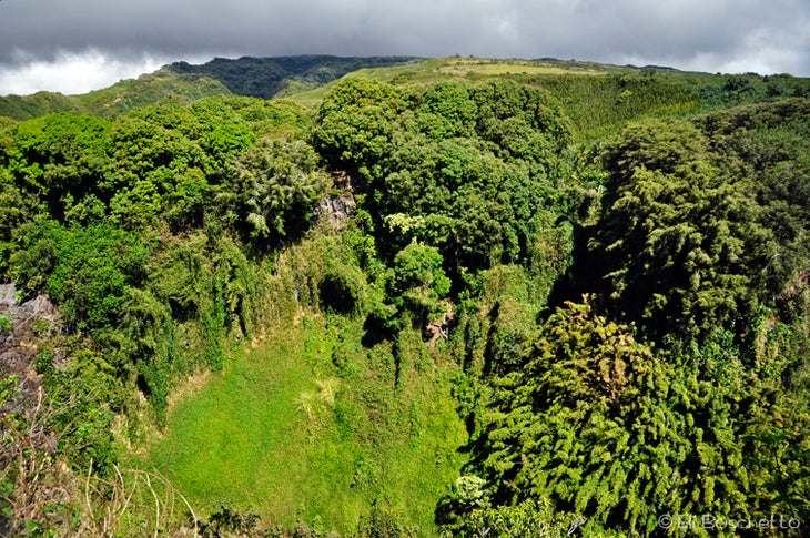 Makahiku Overlook pipiwai trail