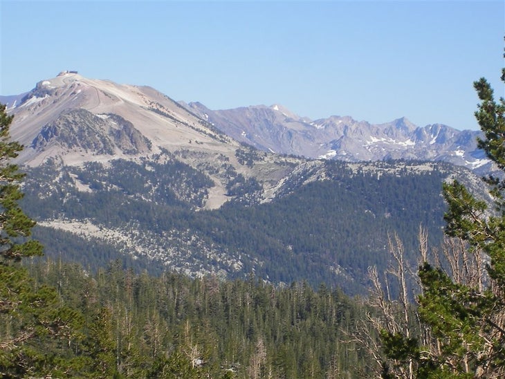 Mammoth Mountain None