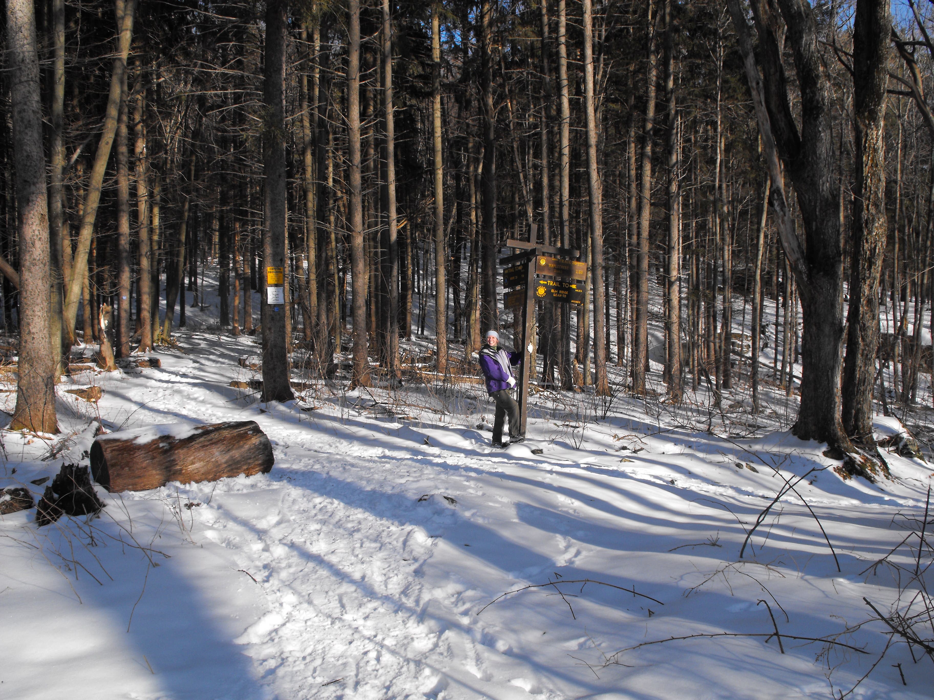 Maple Crest Road Junction None