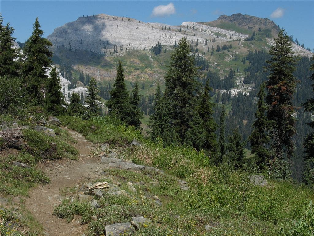 Marble Mountain hillside trail None