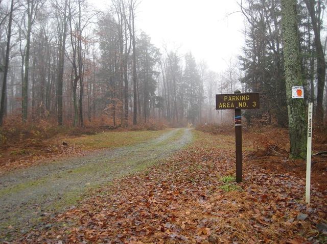 Marker 21 None