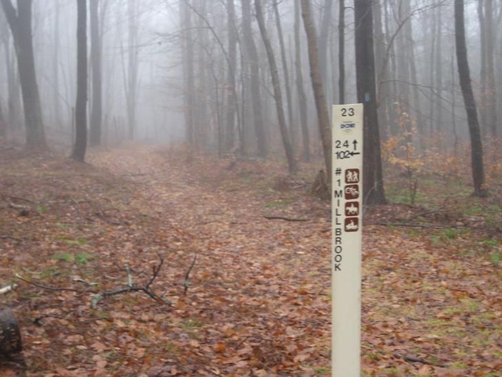 Marker 23 None
