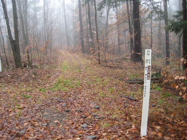 Marker 24 None