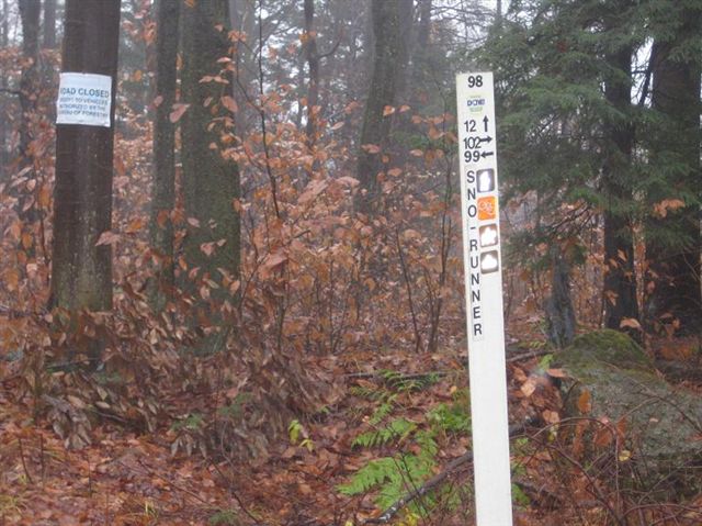 Marker 98 None