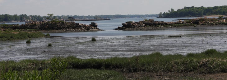Marsh None