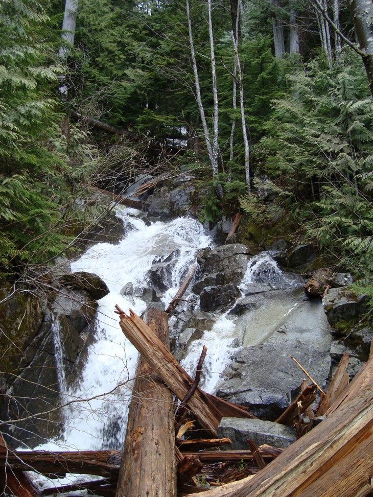 Mason Creek None