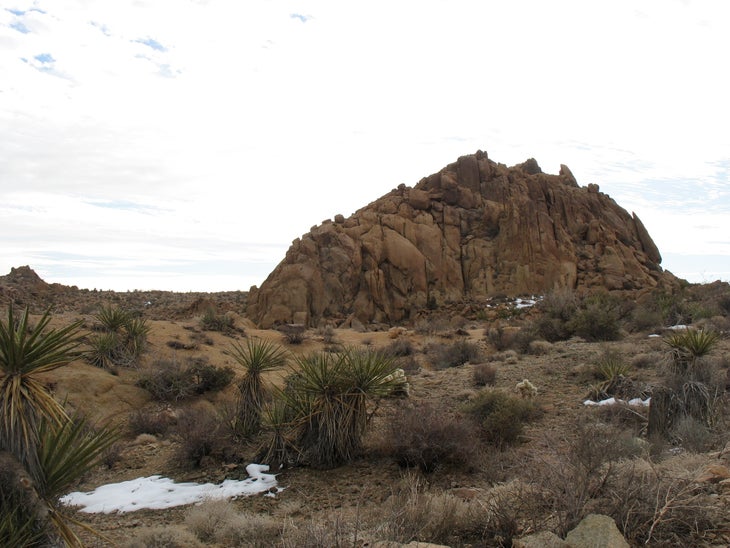 Mastodon Peak None