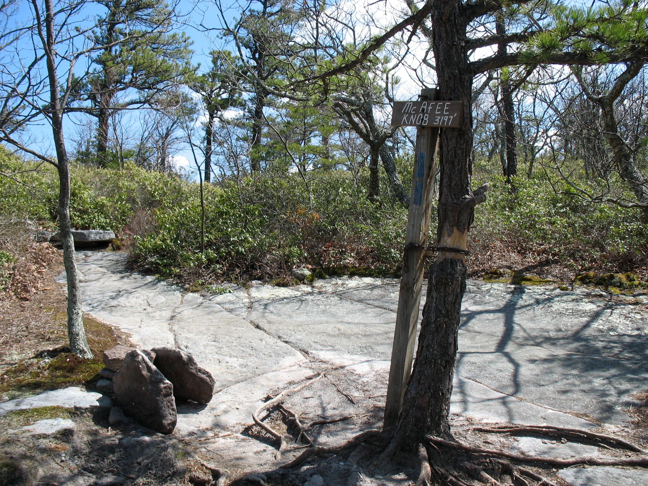 McAfee Knob Spur Trail None