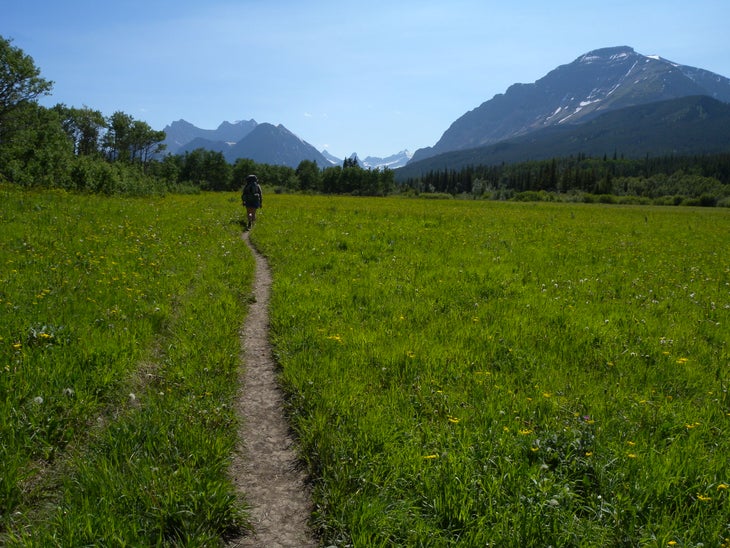 Meadow None