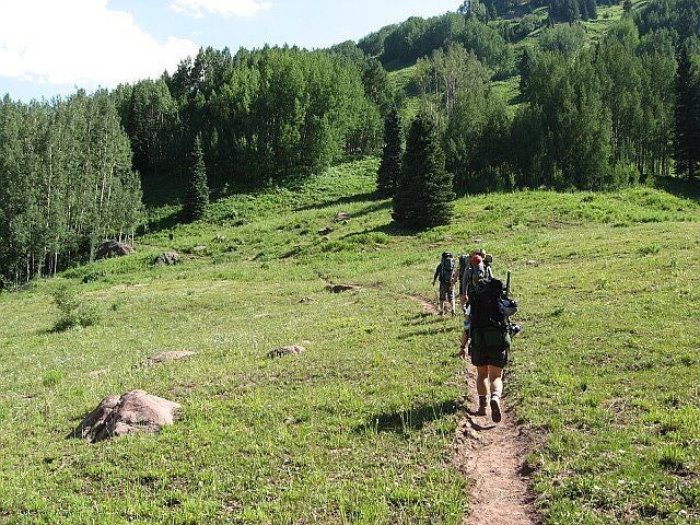 Meadow None