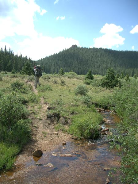 Meadow None