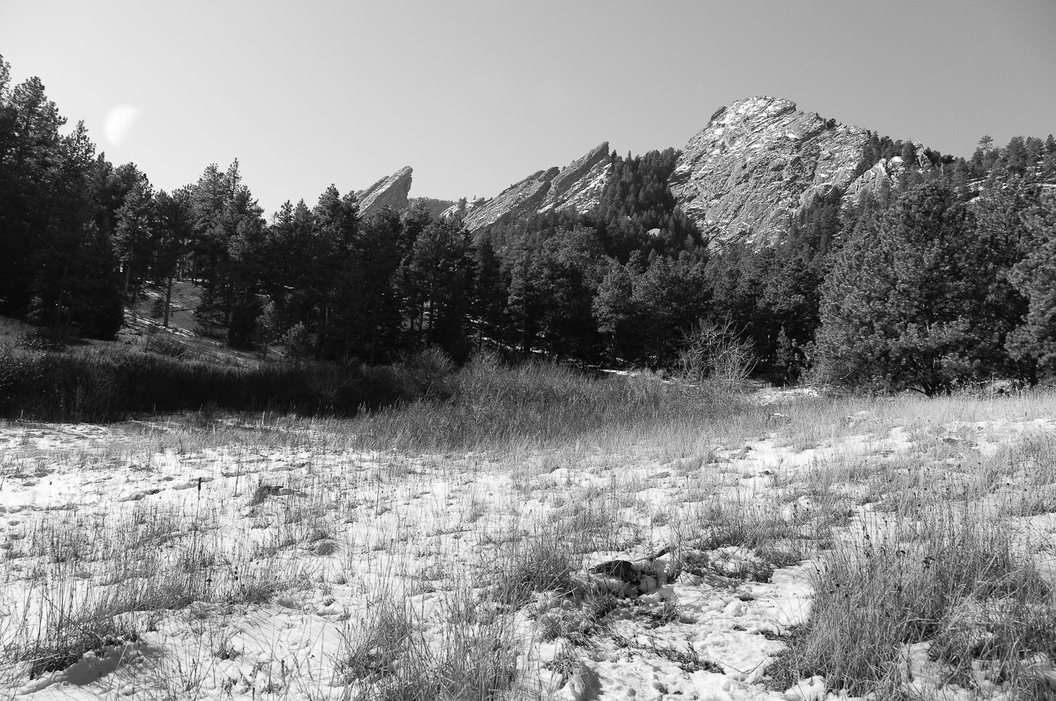 Meadow along the Chataqua Trail with the Flatirons in the distance. 