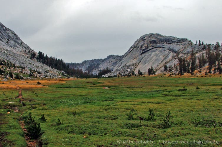 Meadow and Dome None