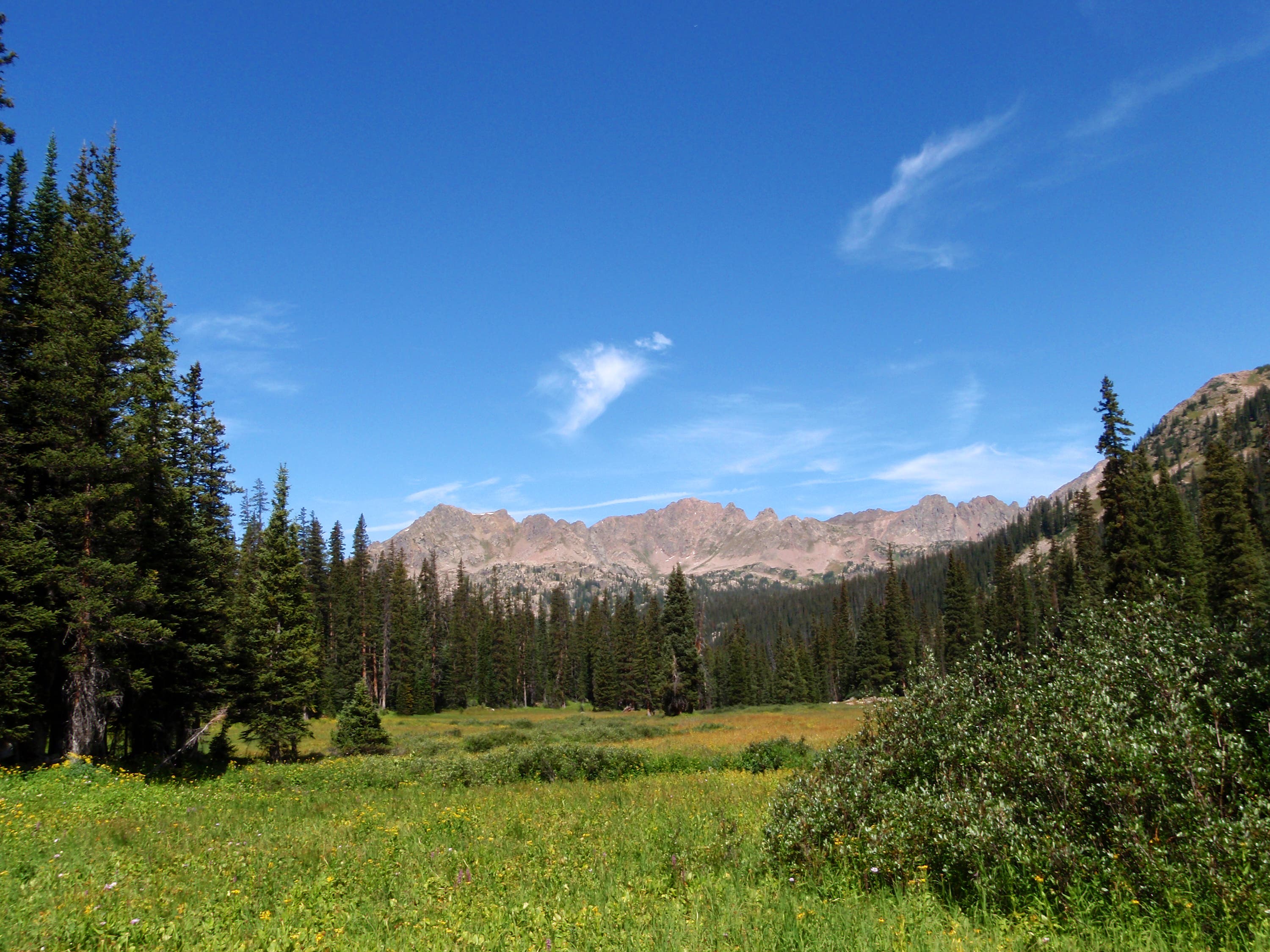 Meadow below Red Buffalo Pass None