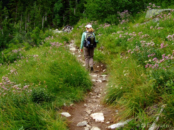 Meadow Hike None
