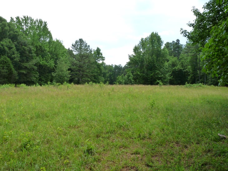 Meadow View None