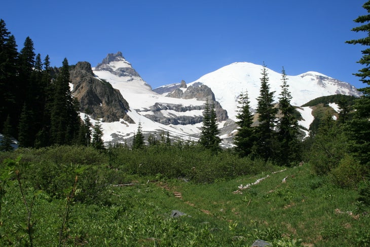 Meadow Views None