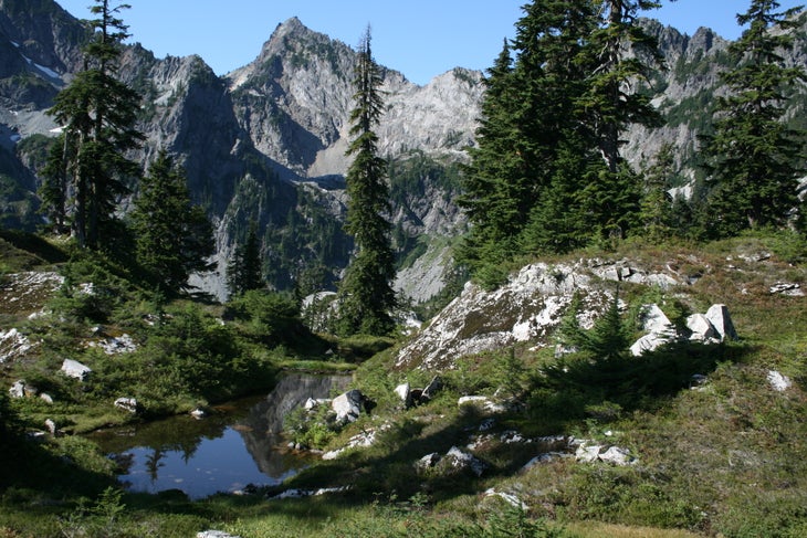 Meadow views None