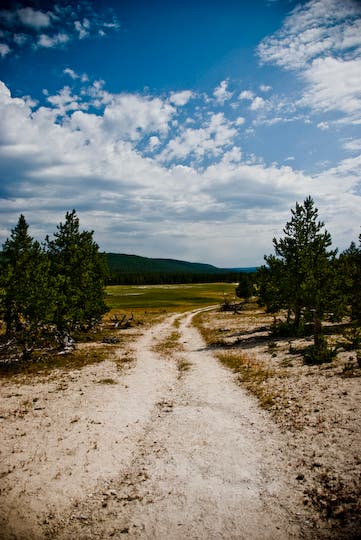 Meadows along Nez Perce Creek None