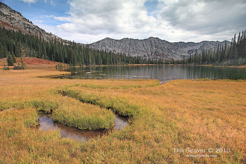 Meadows at Hidden Lake None