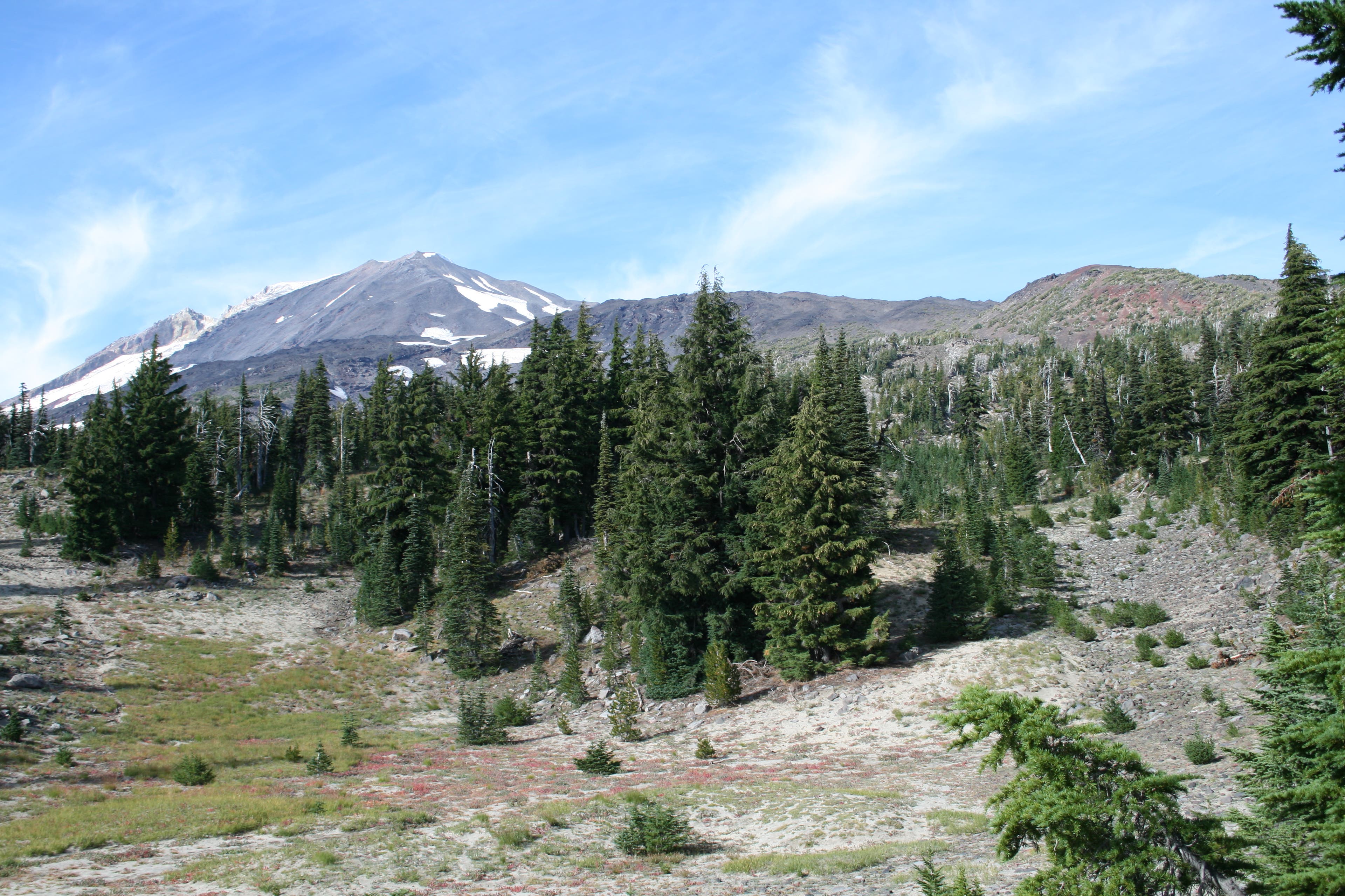 Meadows with Indian Paintbrush None