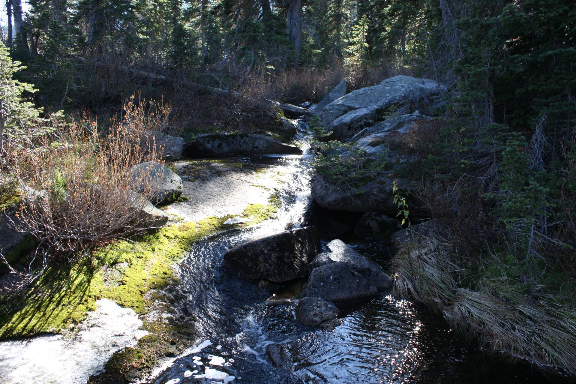 Meandering Stream None