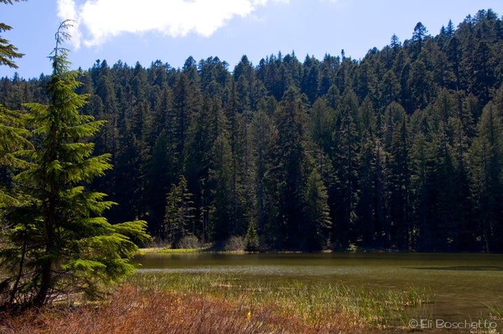 Memaloose Lake None