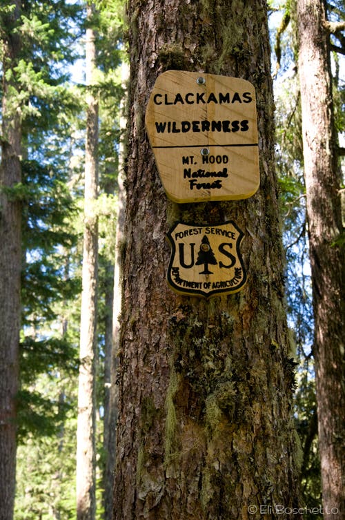 Memaloose Trailhead None