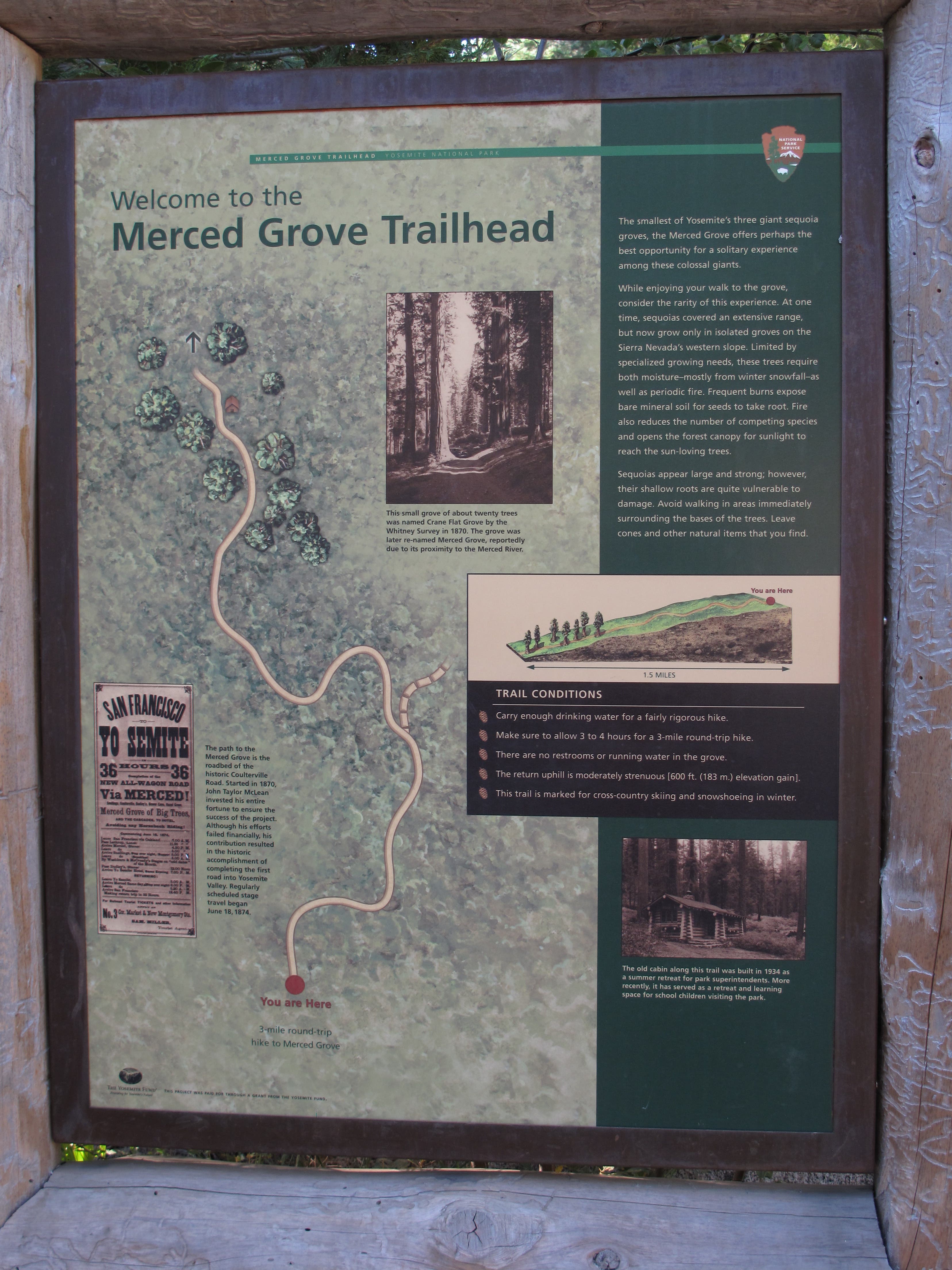 Merced Grove Trailhead None