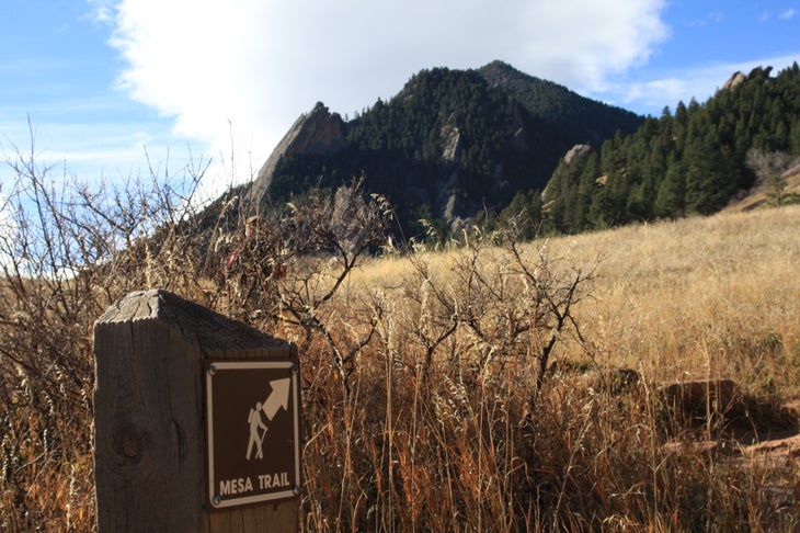 Mesa Trail None