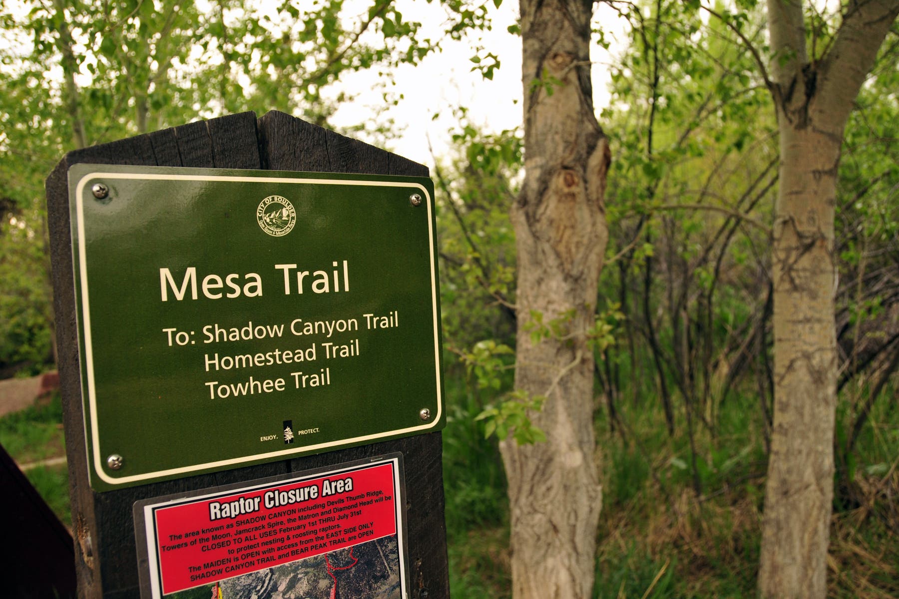 Mesa Trailhead None