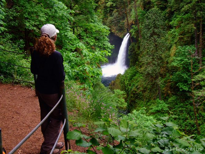 Metlako Falls None