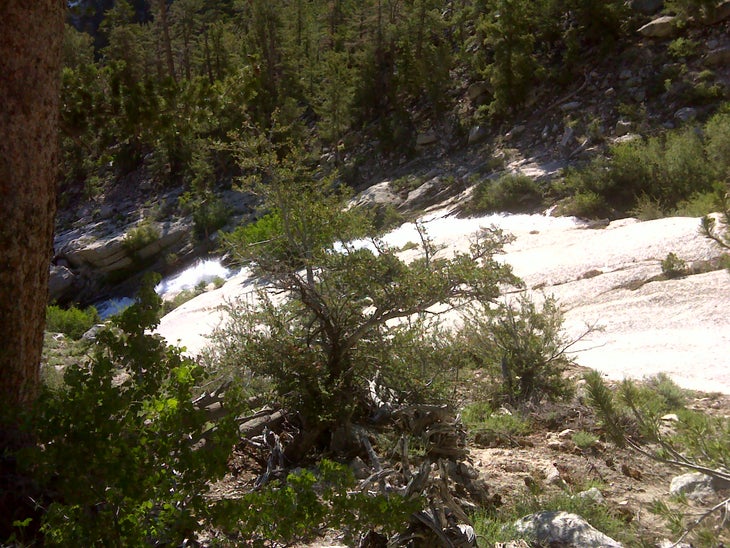 Meysan Creek None