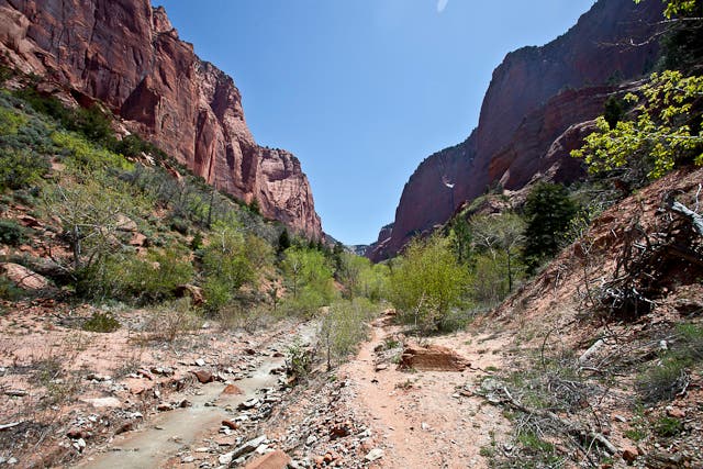 Middle Fork's canyon None