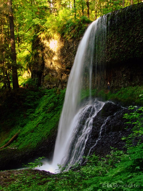 Silver Falls State Park, OR: Trail of Ten Falls