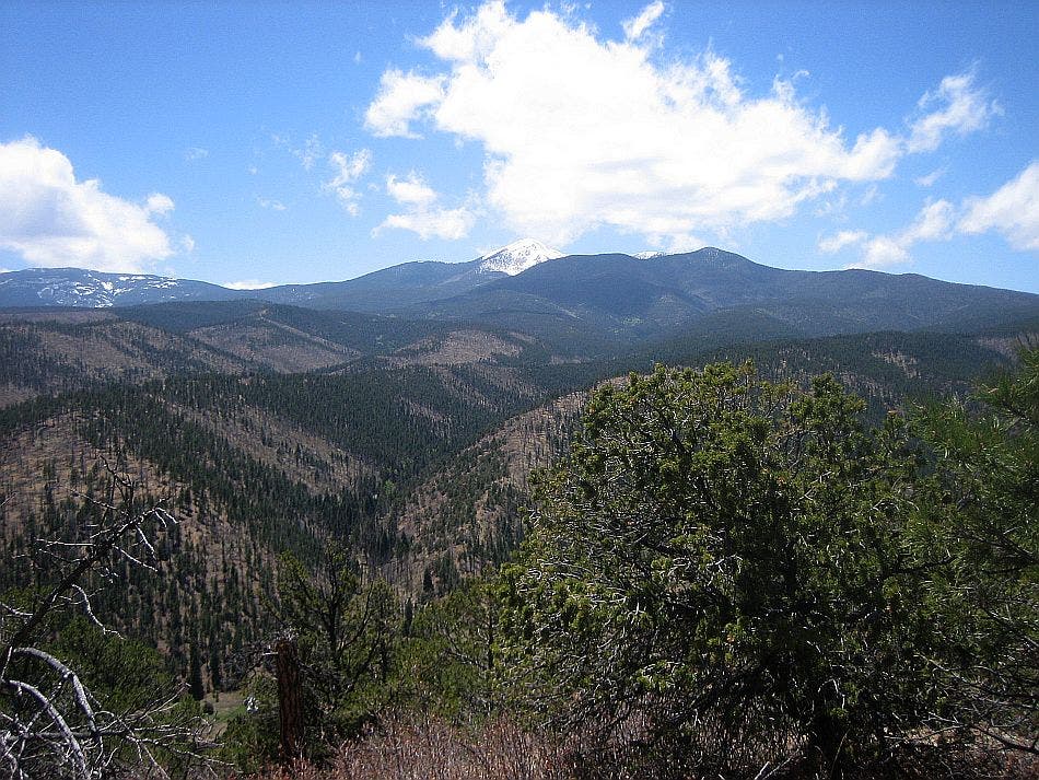 Middle Ponil Vista None