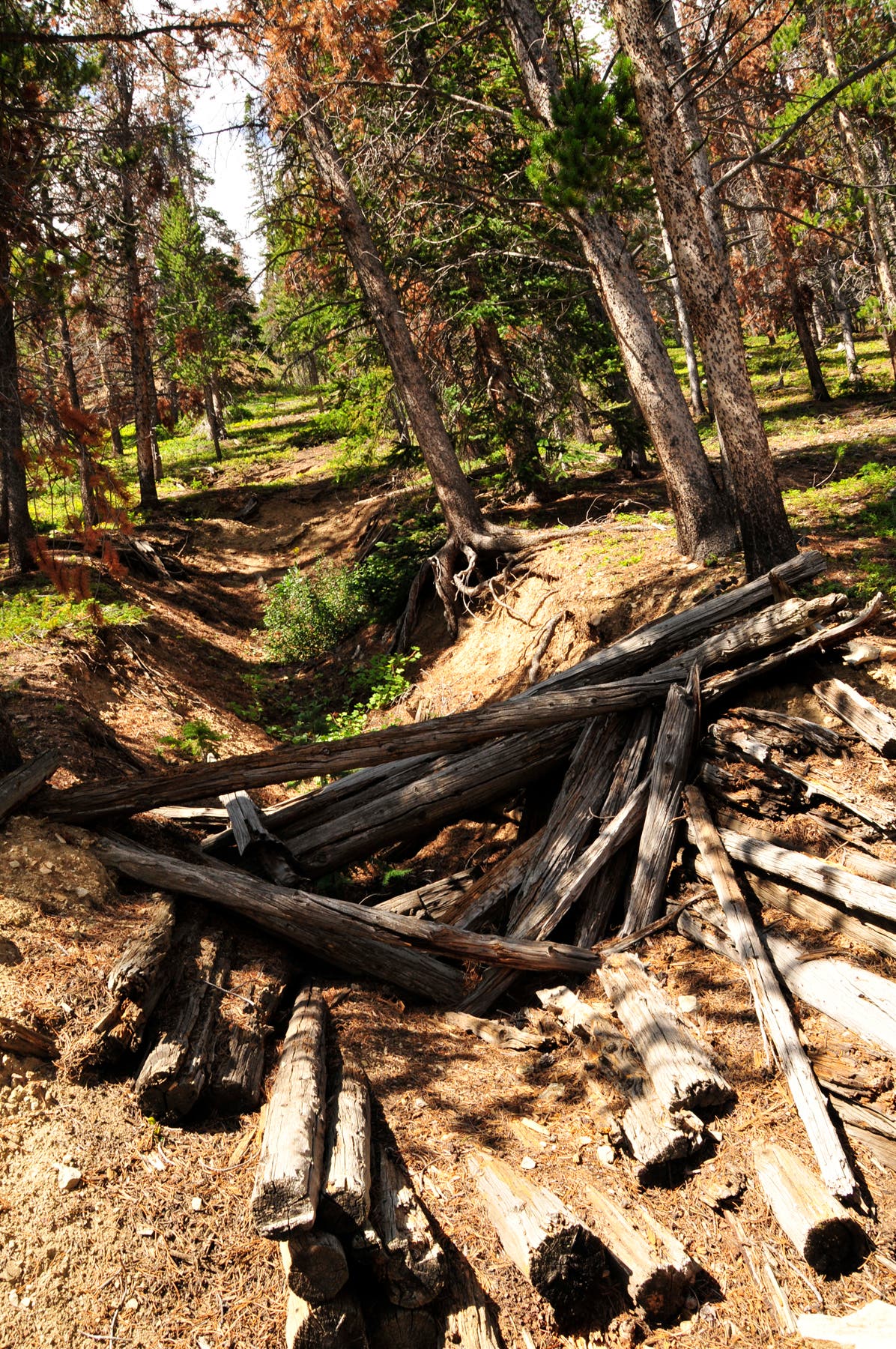 Mining Remnants None