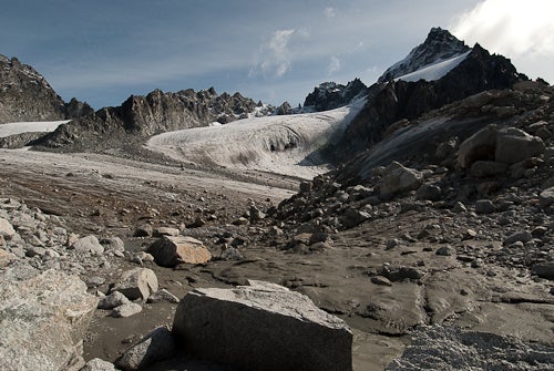 Mint Glacier None