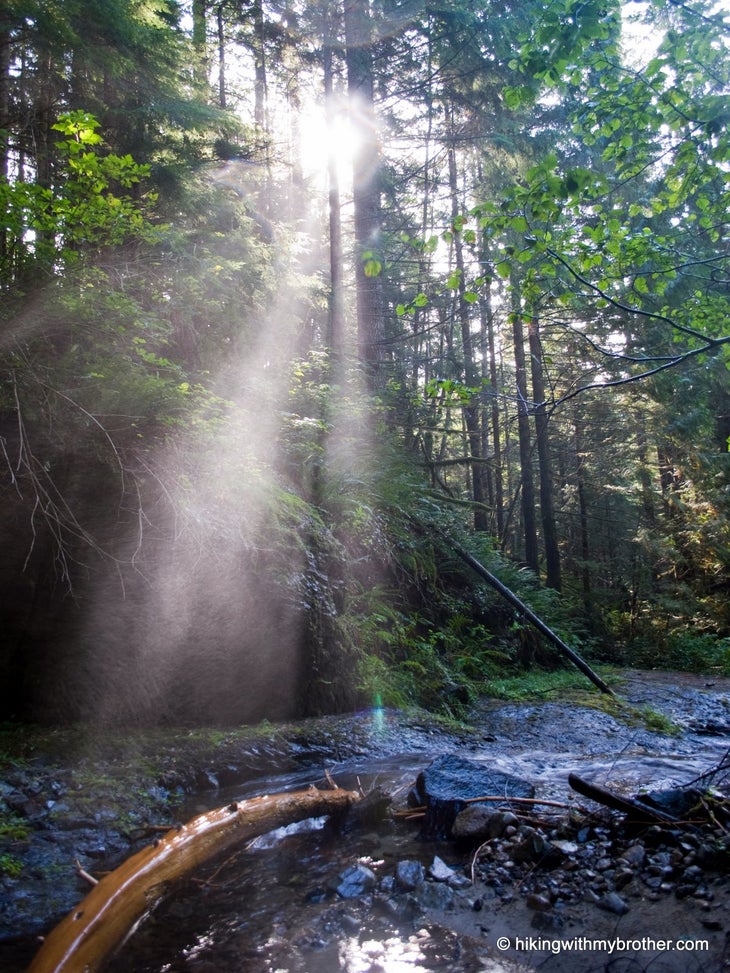Misty Light None