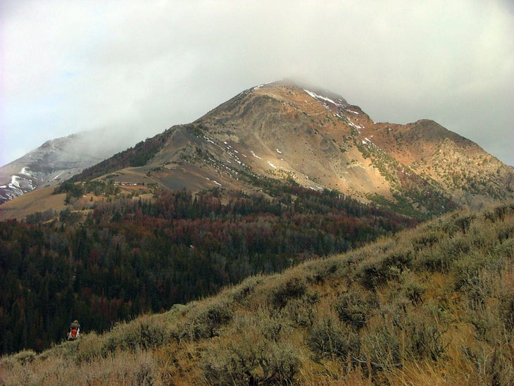 Misty Peak None
