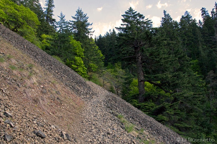 Mitchell Trail None