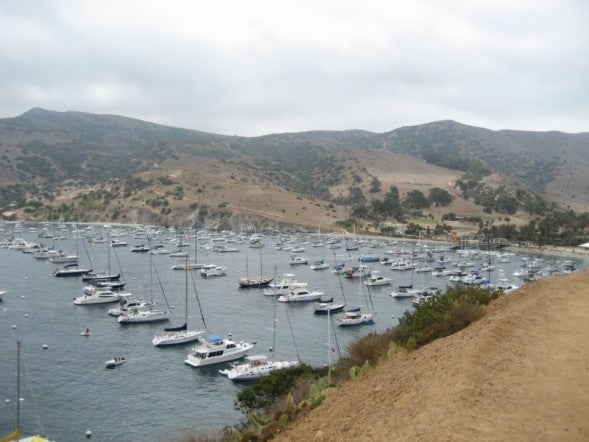 Moorings None