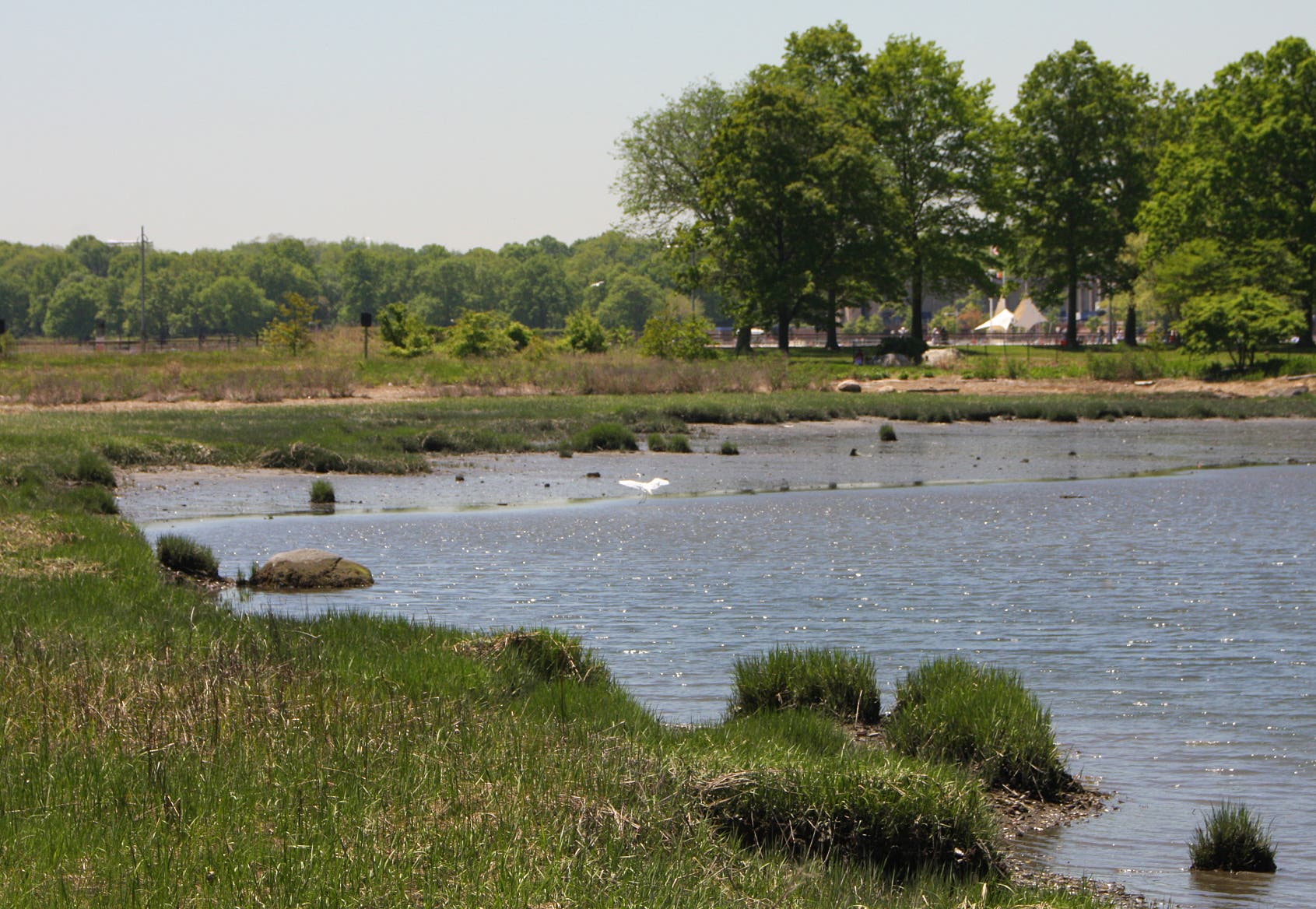 More salt marshes None
